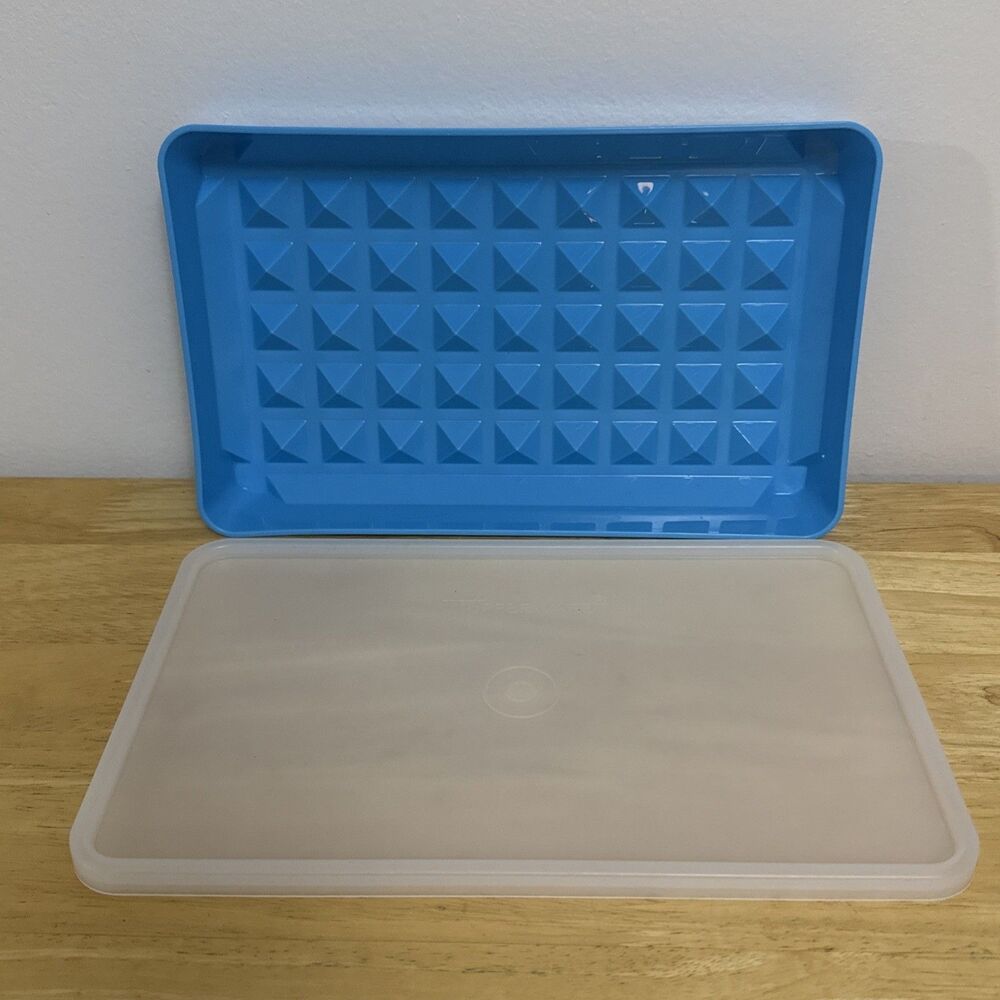 VTG Tupperware Blue-Colored Deli Meat Bacon Hot Dog Keeper with Lid 1292-8